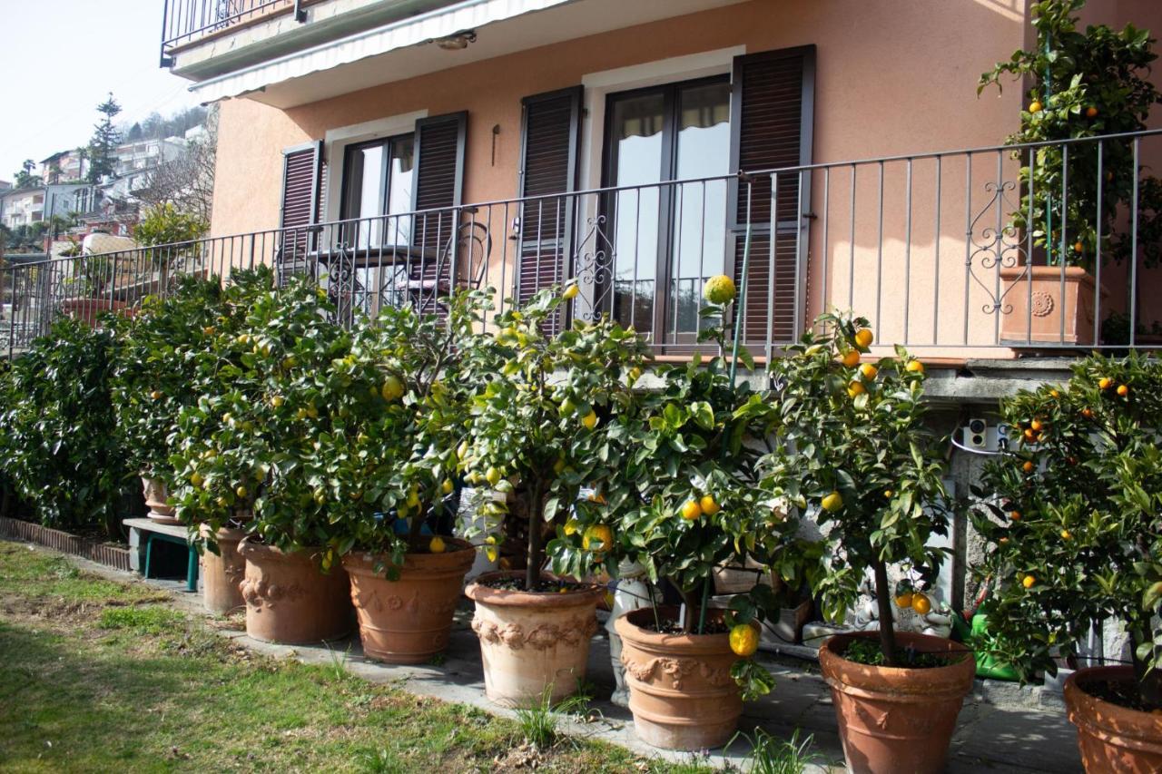 Panoramic Orselina Apartment Exterior photo